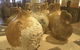 Western Australian Museum - Shipwreck Galleries - thumb 1