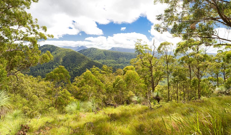Ettrick NSW Accommodation Mount Tamborine