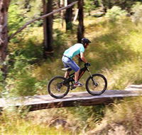 The Steps Mountain Bike Park - Accommodation Mount Tamborine