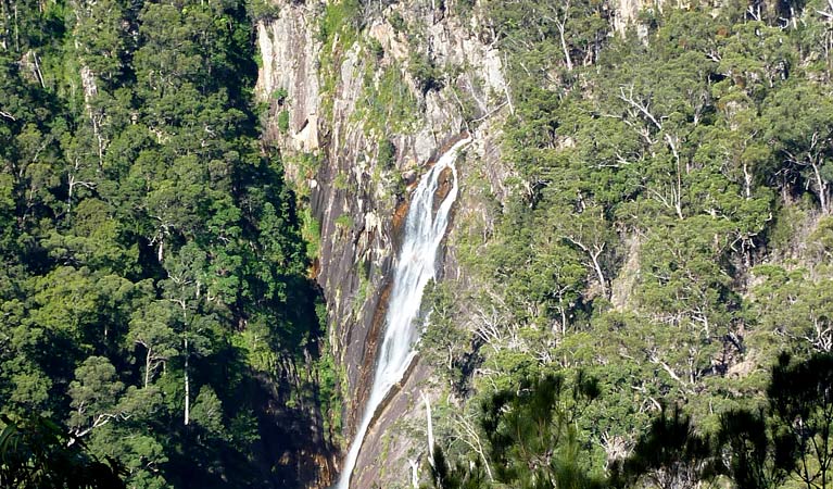  Accommodation Mount Tamborine