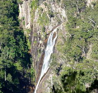 Carrai National Park - Accommodation Mount Tamborine