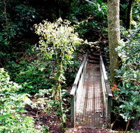 Richmond Range National Park - Accommodation Mount Tamborine