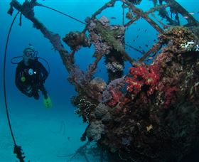 Severance Shipwreck Dive Site - Accommodation Mount Tamborine 0