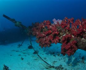 Severance Shipwreck Dive Site - Accommodation Mount Tamborine 2