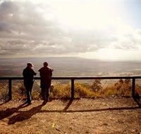 Heaton State Forest - Watagan Mountains - Accommodation Mount Tamborine