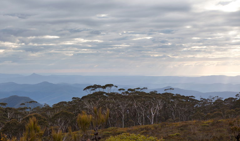 Budawang NSW Accommodation Mount Tamborine