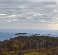 Mount Budawang trail - Accommodation Mount Tamborine