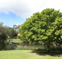 Hervey Bay Botanic Gardens - Accommodation Mount Tamborine