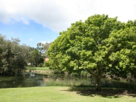 Hervey Bay Botanic Gardens - Accommodation Mount Tamborine 0