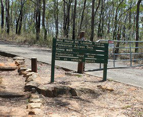 Wild Horse Mountain Lookout - Accommodation Mount Tamborine 0