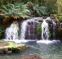 Barrington Tops National Park Walks - Accommodation Mount Tamborine
