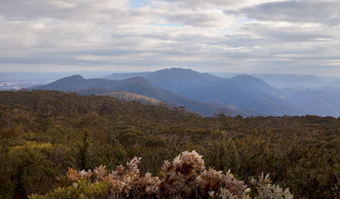 Budawang National Park - Accommodation Mount Tamborine 1