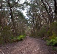 Budawang National Park - Accommodation Mount Tamborine