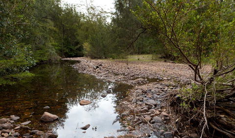 Budawang National Park - Accommodation Mount Tamborine 2