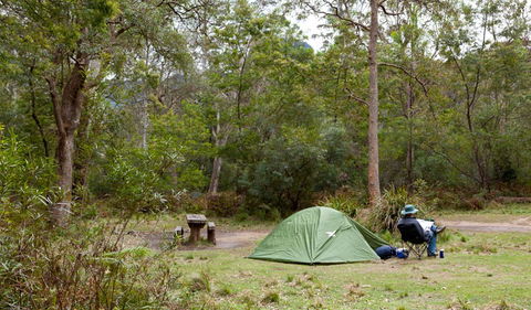 Budawang National Park - Accommodation Mount Tamborine 3