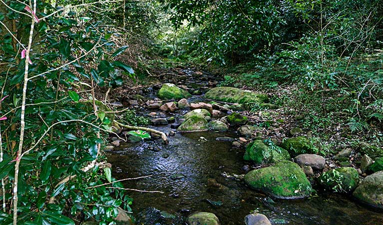 Macquarie Pass NSW Accommodation Mount Tamborine
