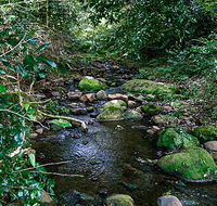 Macquarie Pass National Park - Accommodation Mount Tamborine