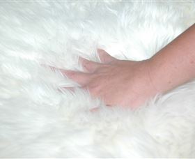 Mortels Sheepskin Factory - Accommodation Mount Tamborine 4