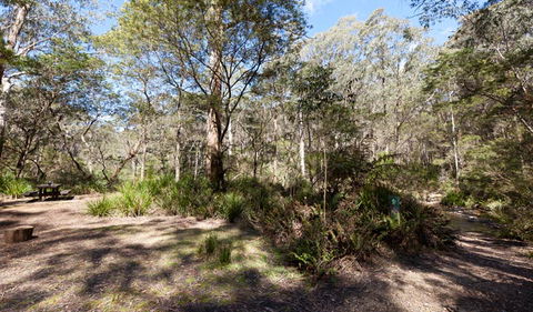 Monga National Park - Accommodation Mount Tamborine 1
