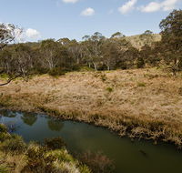 Werrikimbe National Park - Accommodation Mount Tamborine