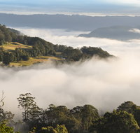 Cambewarra Range Nature Reserve - Accommodation Mount Tamborine