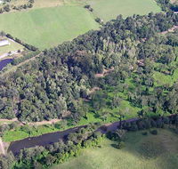 Moore Park Nature Reserve - Accommodation Mount Tamborine
