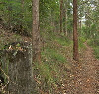 Border loop walk - Accommodation Mount Tamborine
