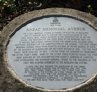 Anzac Memorial Avenue Redcliffe - Accommodation Mount Tamborine