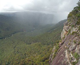 Old Glen Innes Road And The Historic Tunnel Grafton - Accommodation Mount Tamborine 1