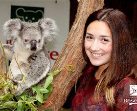  Accommodation Mount Tamborine
