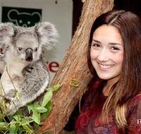 Blackbutt Reserve - Accommodation Mount Tamborine