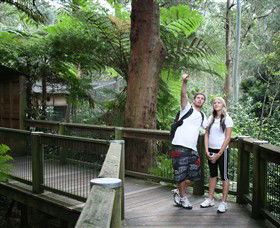 Blackbutt Reserve - Accommodation Mount Tamborine 1