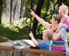Blackbutt Reserve - Accommodation Mount Tamborine 4