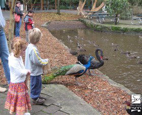 Blackbutt Reserve - Accommodation Mount Tamborine 5