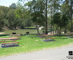 Blackbutt Reserve - Accommodation Mount Tamborine 7
