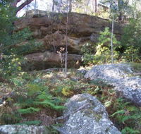 Bens Walk - Accommodation Mount Tamborine