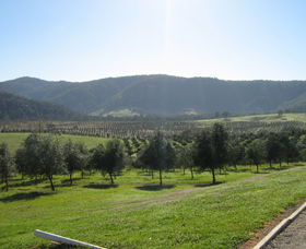  Accommodation Mount Tamborine
