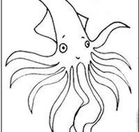Squid Studio - Accommodation Mount Tamborine