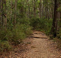 Pigeon House Mountain Didthul walking track - Accommodation Mount Tamborine