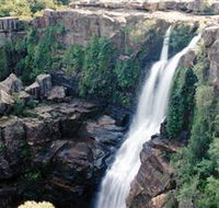 Minnamurra Rainforest Centre Budderoo National Park - Accommodation Mount Tamborine