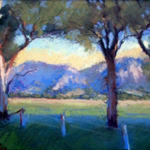 Galleries In The Gardens - Accommodation Mount Tamborine 4