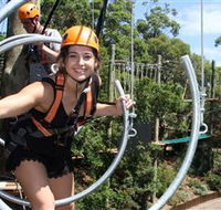 Wild Ropes at Taronga Zoo - Accommodation Mount Tamborine