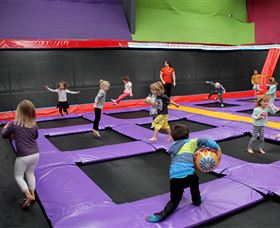 Springloaded Trampoline Park - Accommodation Mount Tamborine 5