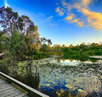 Berrinba Wetlands - Accommodation Mount Tamborine