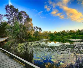Berrinba Wetlands - Accommodation Mount Tamborine 0