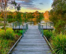 Berrinba Wetlands - Accommodation Mount Tamborine 1