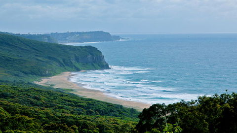 Glenrock State Conservation Area - Accommodation Mount Tamborine 1