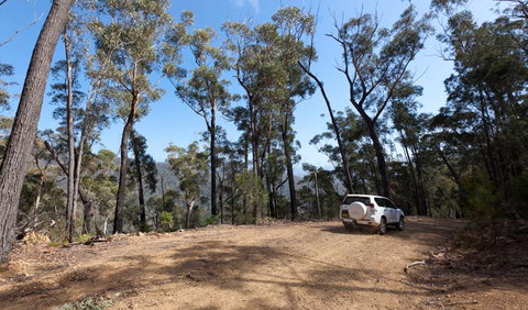 Wadbilliga Road Drive - Accommodation Mount Tamborine 0