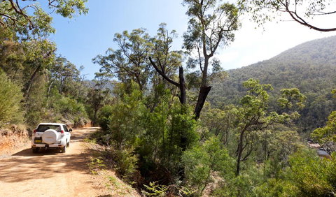 Wadbilliga Road Drive - Accommodation Mount Tamborine 1