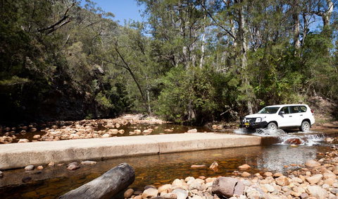 Wadbilliga Road Drive - Accommodation Mount Tamborine 2